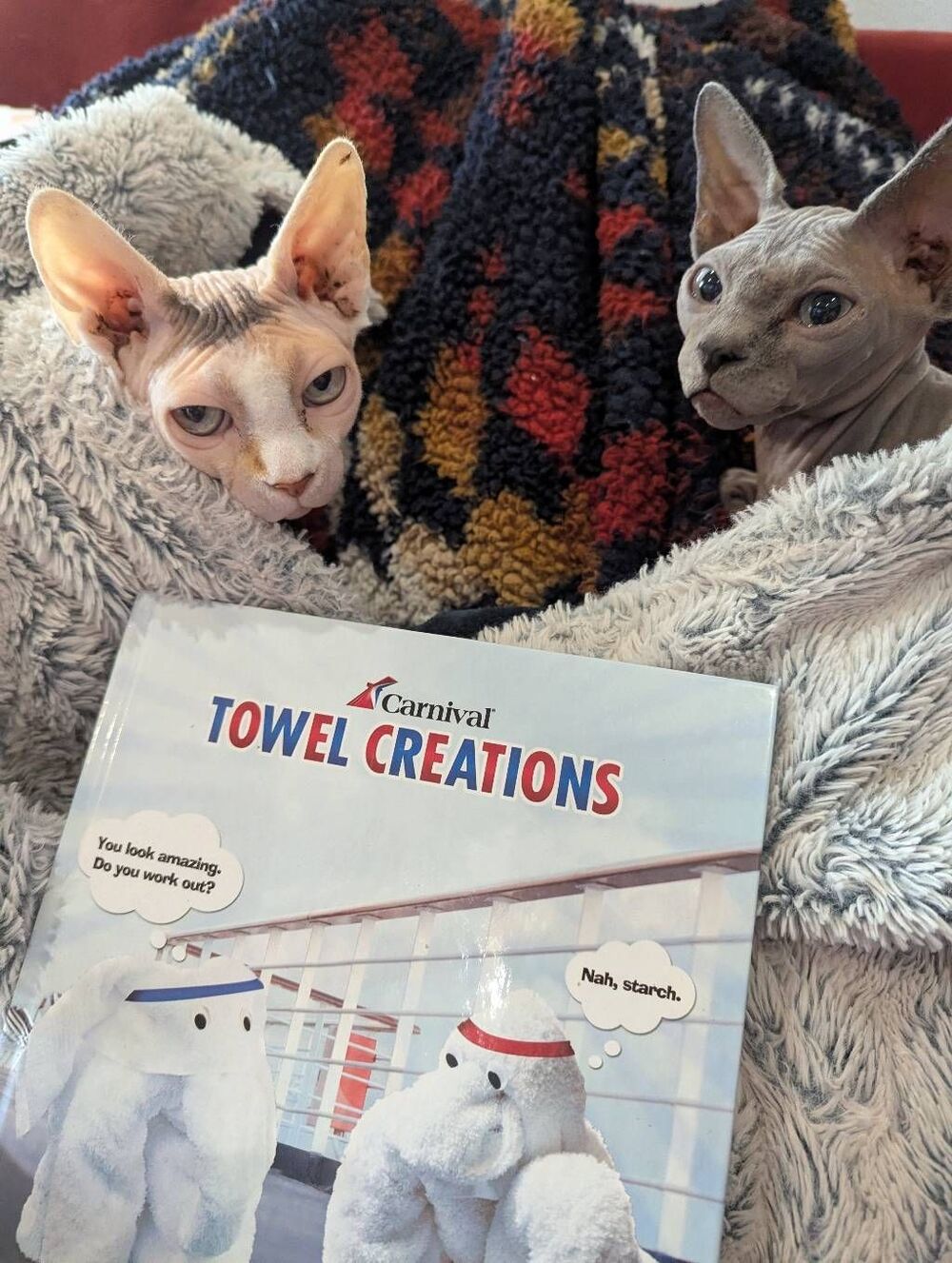 SOLD SOLD SOLD Carnival Towel Creations Book